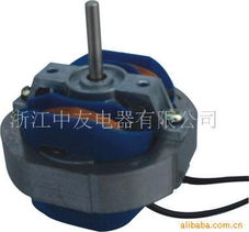 浙江中友電器家用電器用電動機產品列表與研發概述